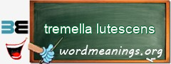 WordMeaning blackboard for tremella lutescens